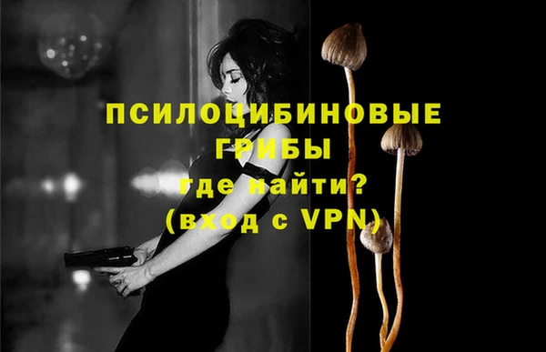 гашик Беломорск