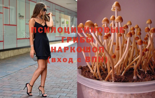 ГАЛЛЮЦИНОГЕННЫЕ ГРИБЫ Белокуриха