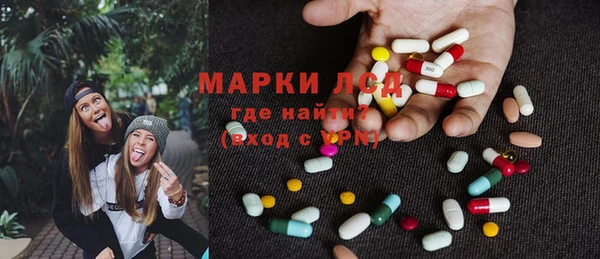 ГАЛЛЮЦИНОГЕННЫЕ ГРИБЫ Белокуриха