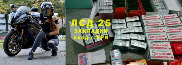 ГАЛЛЮЦИНОГЕННЫЕ ГРИБЫ Белокуриха