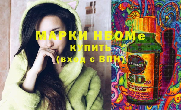 хмурый Аркадак