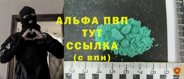 гашик Беломорск