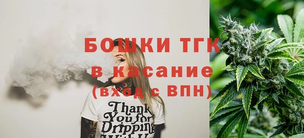 молекула духа Арсеньев